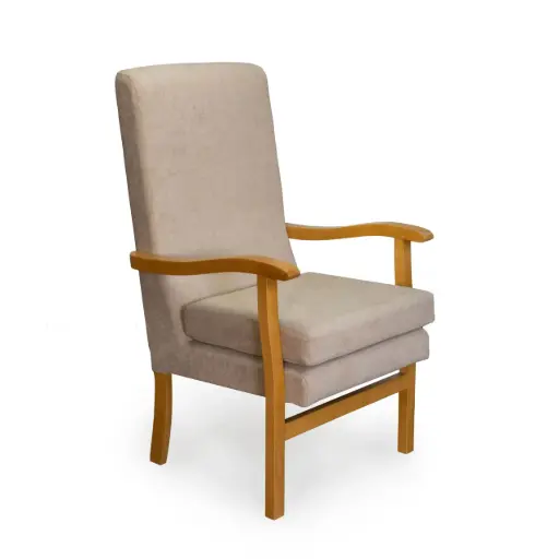 JBLCP upholstered armchair with removable cushion