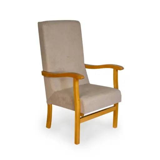 Upholstered armchair with handles JBLFP